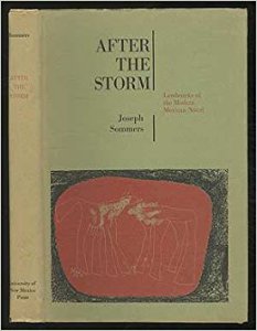 After the Storm : Landmarks of the Modern Mexican Novel