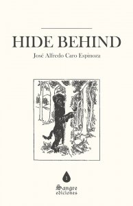 Hide behind