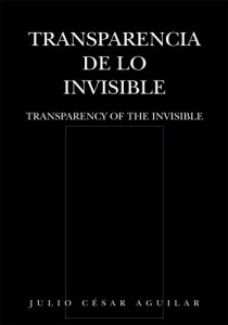 Transparencia de lo invisible = Transparency of the Invisible