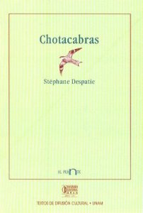 Chotacabras 