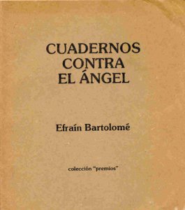 Cuadernos contra el ángel