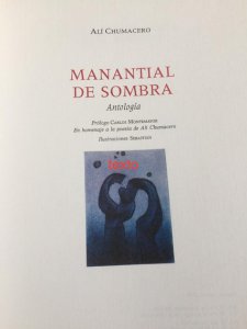 Manantial de sombra : antología
