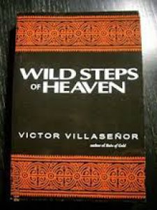 Wild steps of heaven