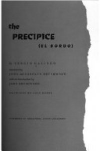 The precipice (El bordo)