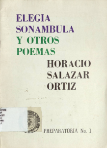 Elegía sonámbula y otros poemas