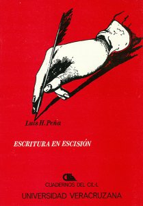 Escritura en escisión: aproximación al perfil narrativo de la literatura mexicana (1958-1969)