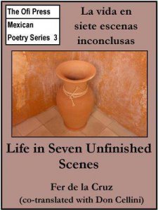 La vida en siete escenas inconclusas = Life in seven unfinished scenes