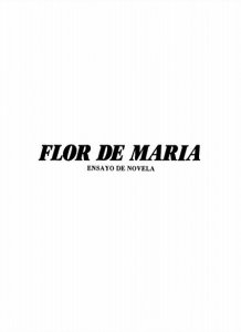 Flor de María : ensayo de novela