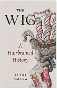 The wig : a hairbrained history