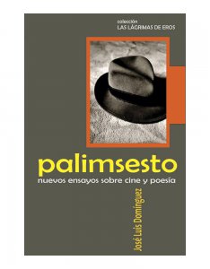 Palimsesto : nuevos ensayos de cine y poesía
