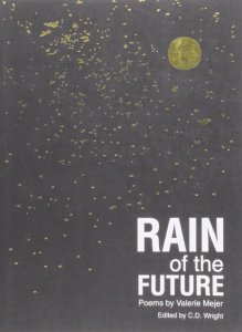 Rain of the future = Lluvia del futuro