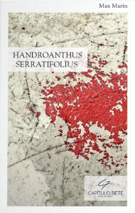 Handroanthus Serratifolius