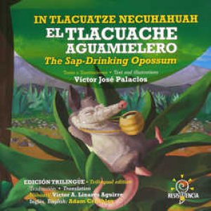 El tlacuache aguamielero = In tlacuache necuhahuah = The sap-drinking opossum  